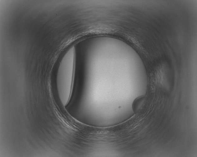 X0000054420631200507290927
