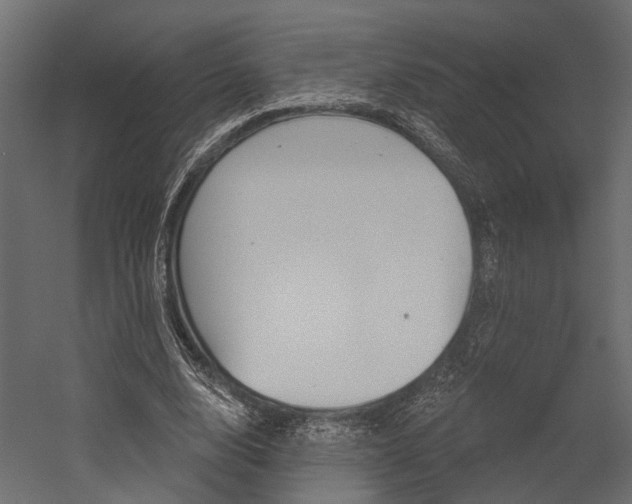 X0000054420632200507290927
