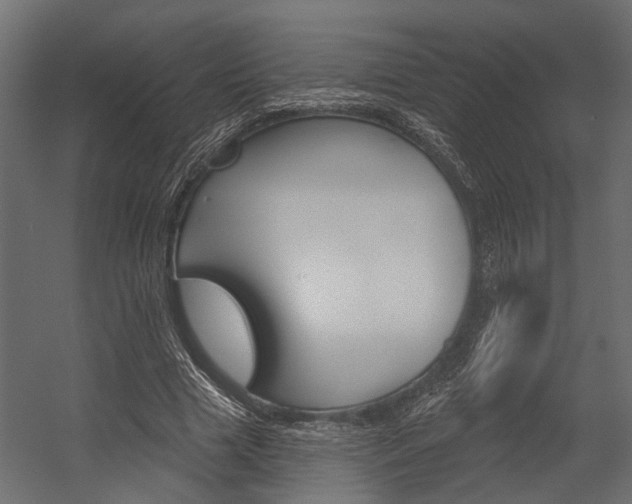 X0000054420633200507290927