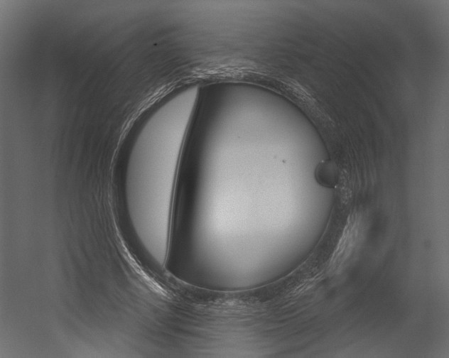 X0000054420634200507290927