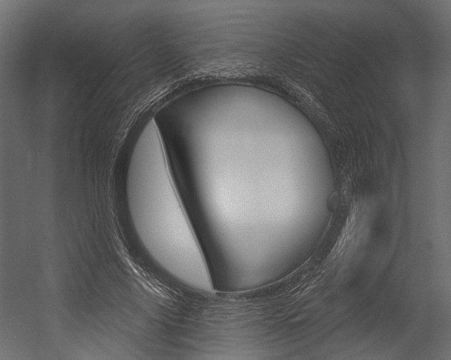 X0000054420635200507290927