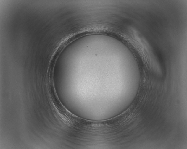 X0000054420636200507290927