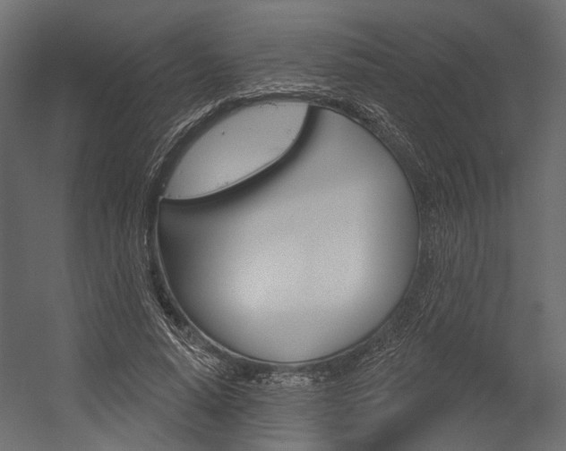 X0000054420640200507290927