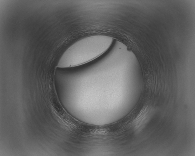 X0000054420643200507290927