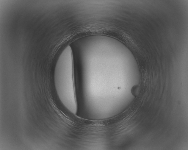 X0000054420644200507290927