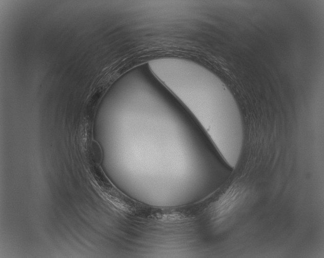 X0000054420645200507290927