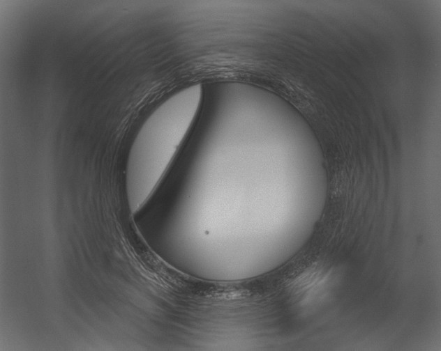 X0000054420646200507290927