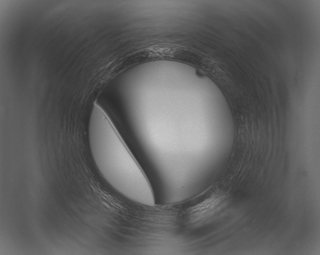 X0000054420649200507290927