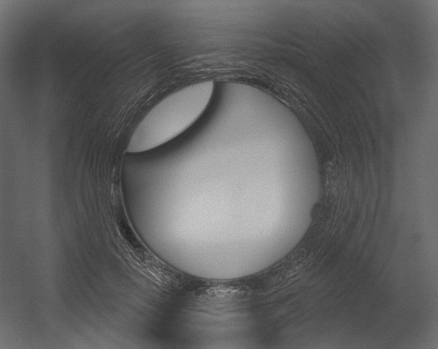 X0000054420650200507290927