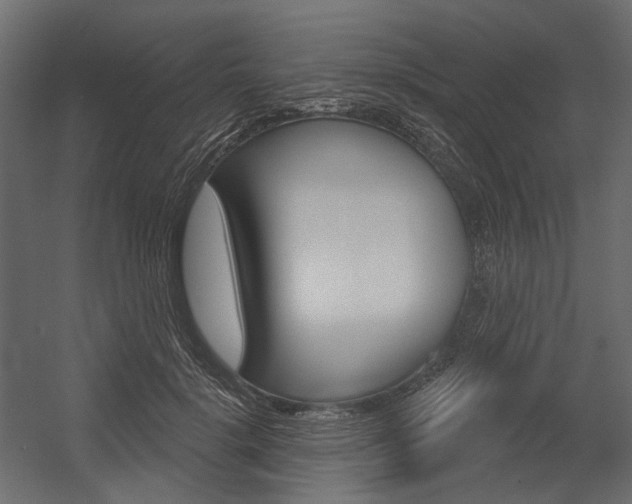 X0000054420652200507290927