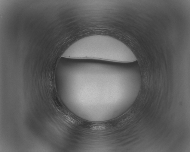 X0000054420653200507290927