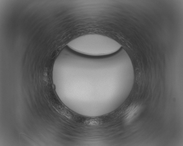 X0000054420655200507290927