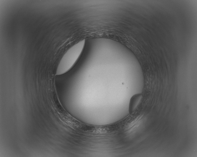 X0000054420656200507290927
