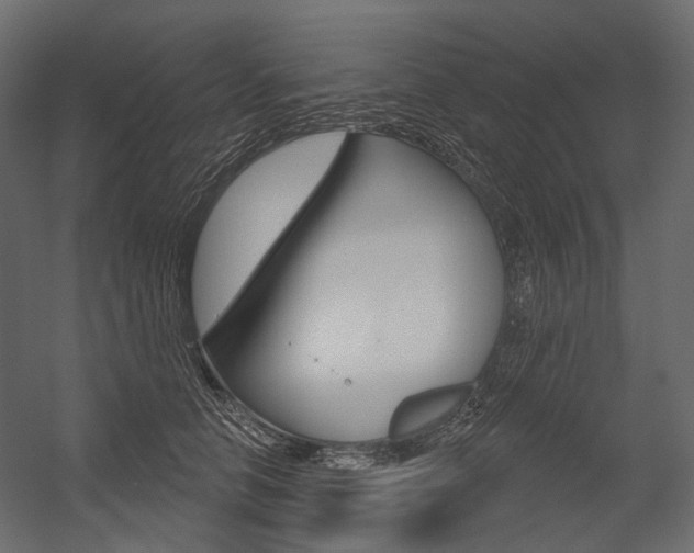 X0000054420658200507290927