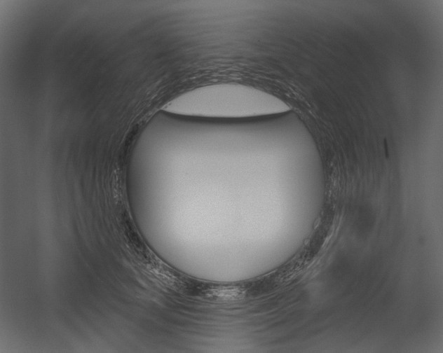 X0000054420659200507290927