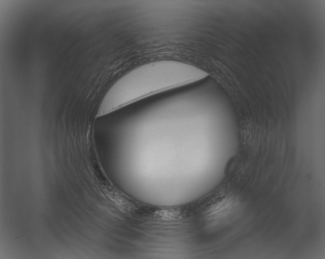 X0000054420660200507290927