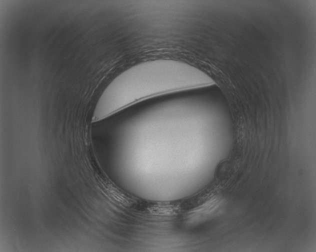 X0000054420661200507290927