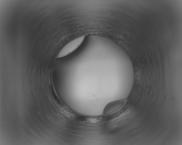 X0000054420662200507290927