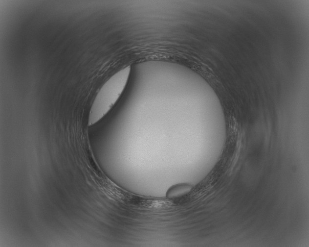 X0000054420663200507290927
