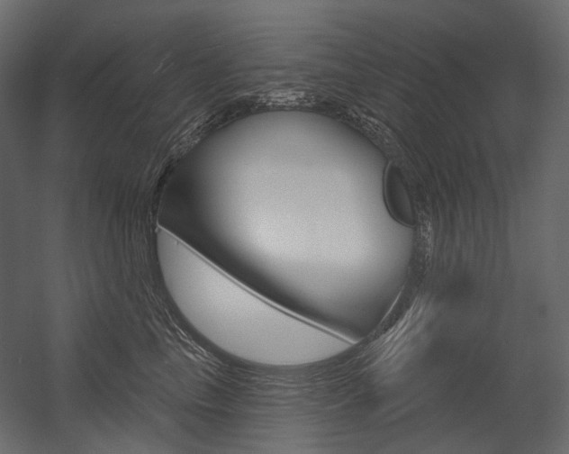 X0000054420665200507290927
