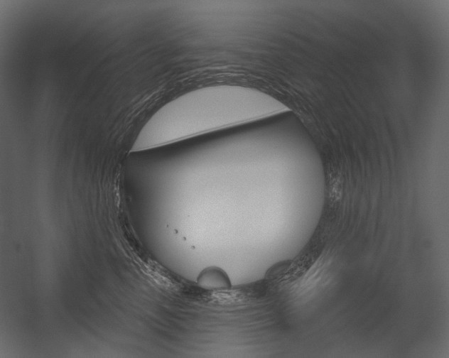 X0000054420666200507290927