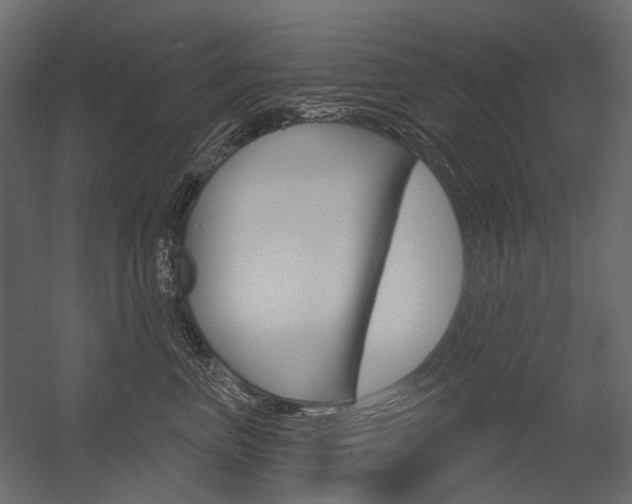X0000054420667200507290927