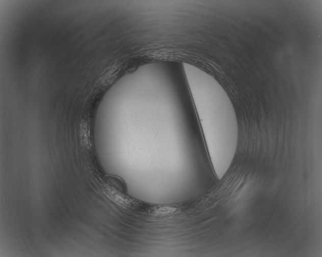 X0000054420669200507290927
