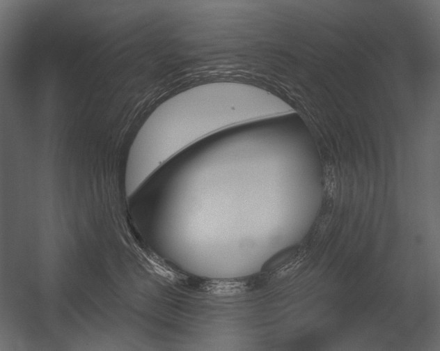 X0000054420670200507290927