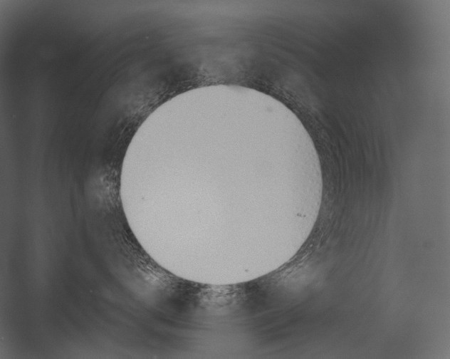 X0000054420672200507290927