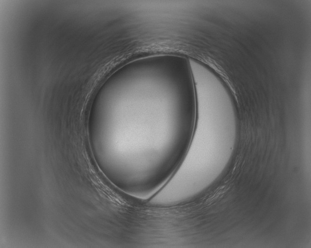 X0000054420673200507290926