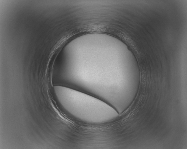 X0000054420674200507290926