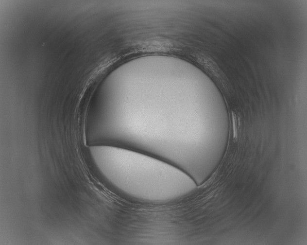 X0000054420675200507290926