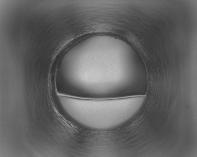 X0000054420676200507290926