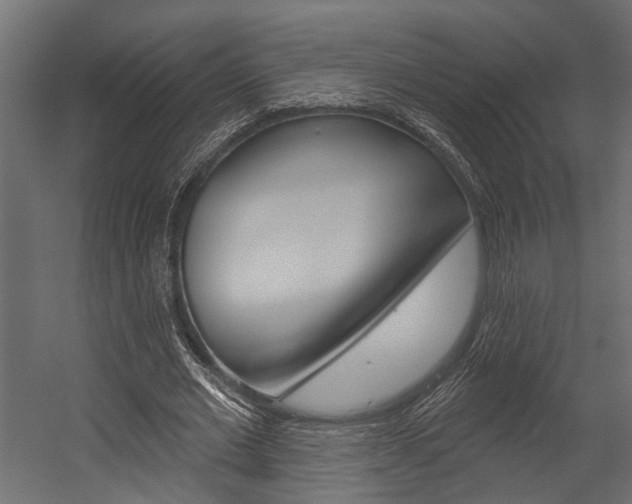 X0000054420677200507290926