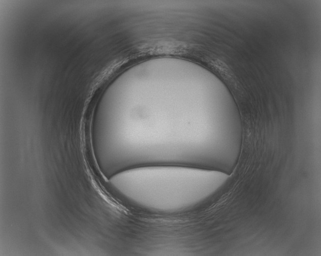 X0000054420678200507290926