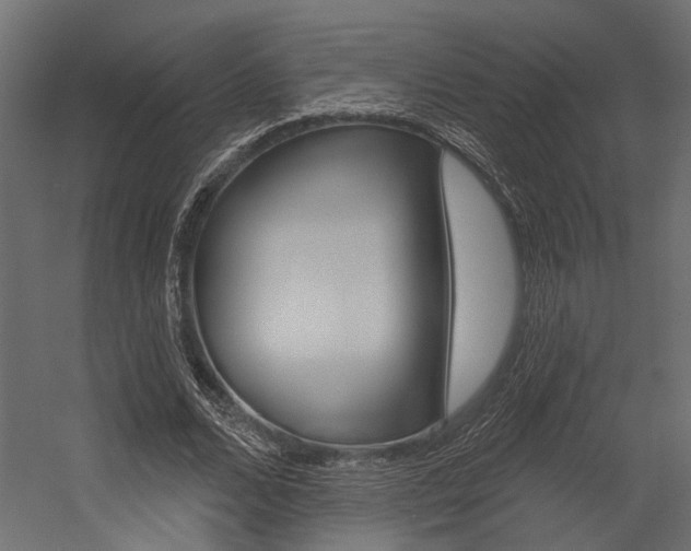 X0000054420680200507290926