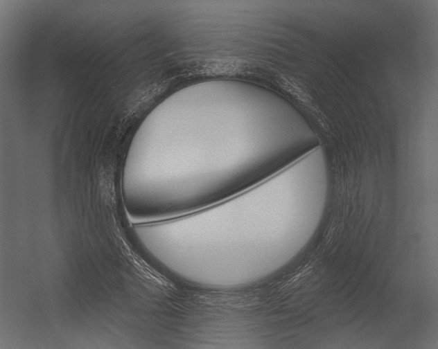 X0000054420681200507290926