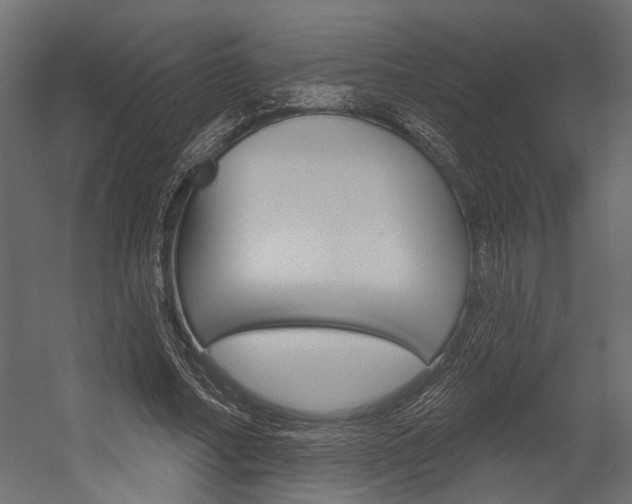 X0000054420682200507290926