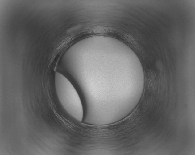 X0000054420683200507290926