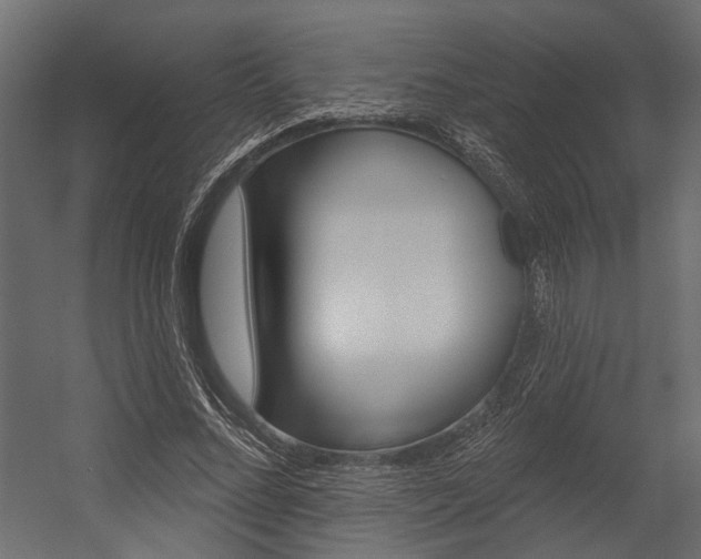X0000054420684200507290926