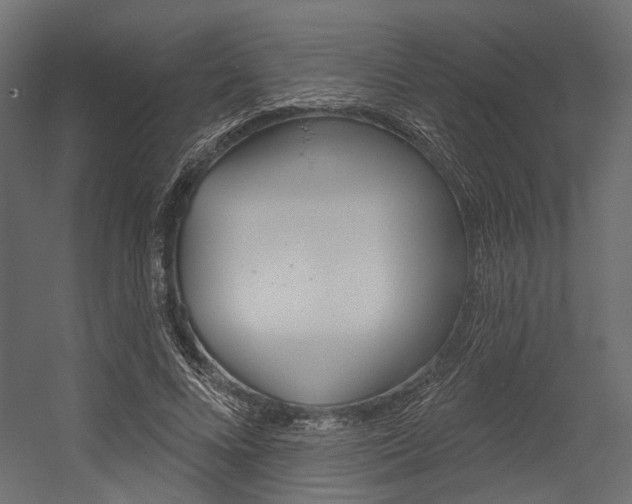 X0000054420688200507290926