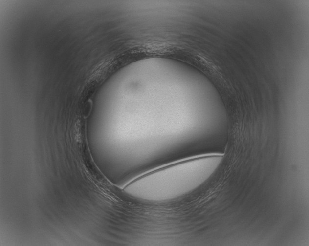 X0000054420689200507290926