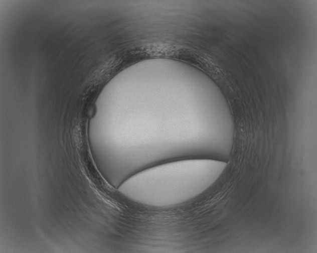 X0000054420690200507290926