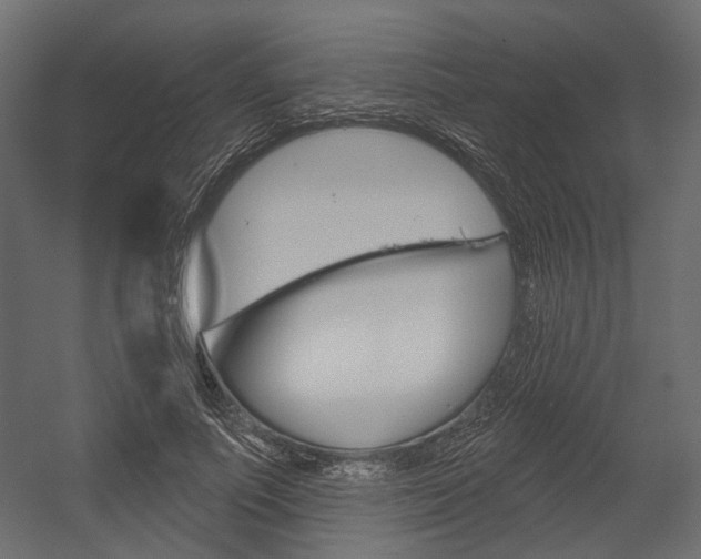 X0000054420691200507290926