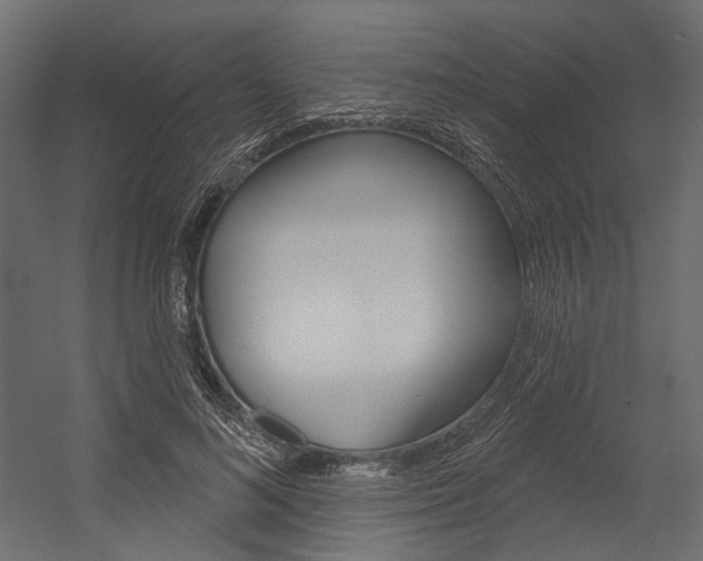 X0000054420692200507290926