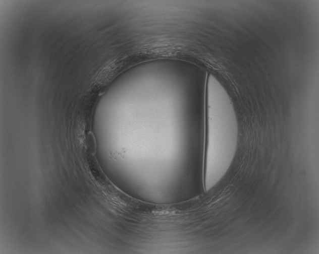 X0000054420693200507290926