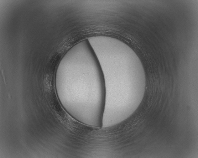 X0000054420695200507290926
