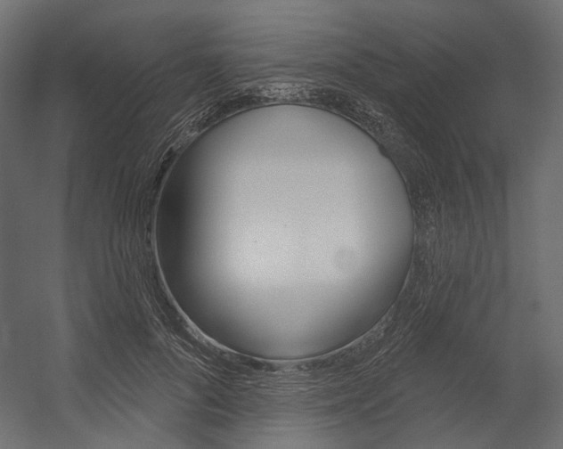 X0000054420696200507290926