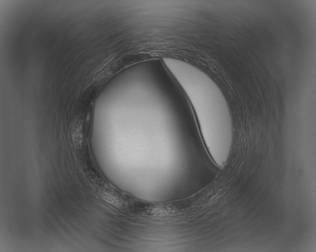 X0000054420697200507290926
