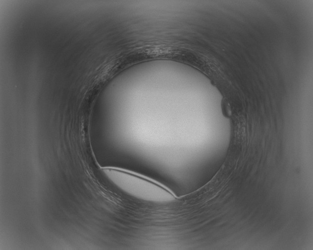 X0000054420700200507290926